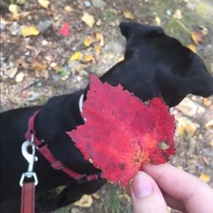 Meet your Posher, Catherine